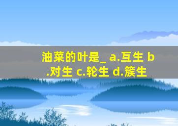 油菜的叶是_ a.互生 b.对生 c.轮生 d.簇生